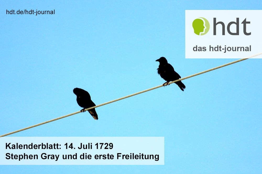 hdt-journal_kalenderblatt_stephen_gray